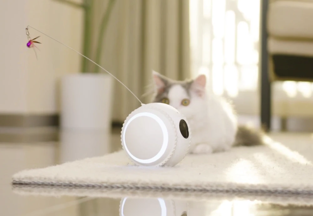 best indoor camera for pets