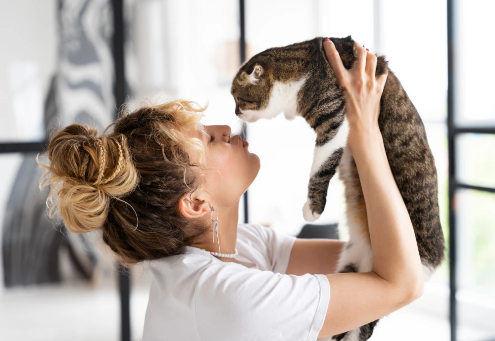 what is the best pet camera